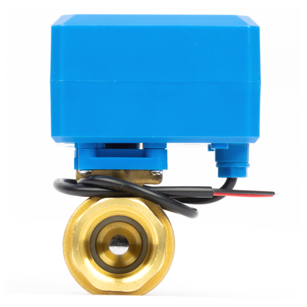 3/4" Motorized Electric Ball Valve 110V-220V AC, 2-Wire Auto Return - Normally Closed, Brass Body By Atlantic Valves
