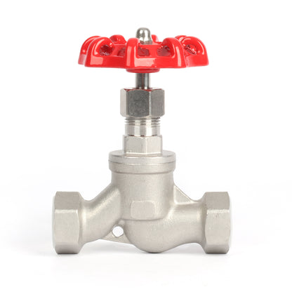 Valvola a globo in acciaio inox da 3/4", regolatore di flusso tipo S per acqua, olio e gas