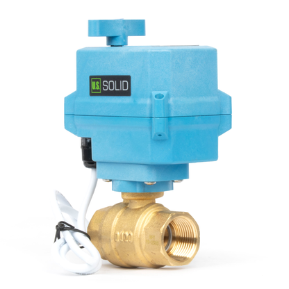 3/4" Quick-Release Motorized Ball Valve - Brass, DC12~24V/AC24V, 2-Wire Auto-Return with Manual Override, IP67