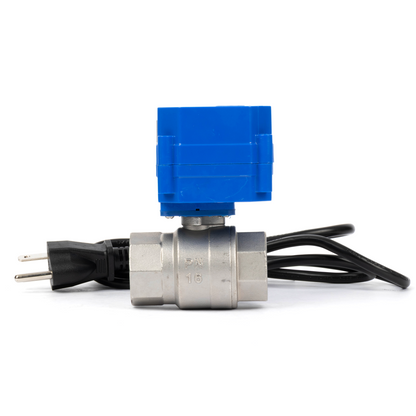 Katup Bola Bermotor 1", 110VAC, Baja Tahan Karat, Pengembalian Otomatis, Normal Tertutup, dengan Steker AS