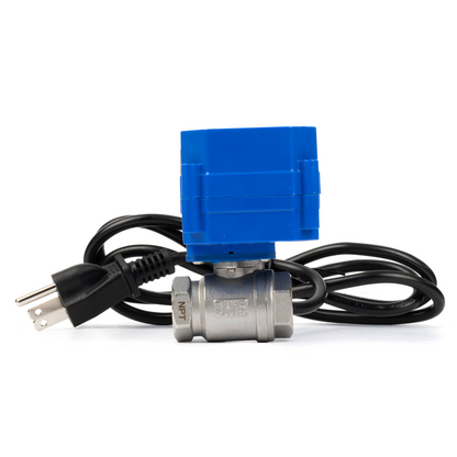 U.S. Solid 1/2" Μηχανοκίνητη σφαιρική βαλβίδα, 110VAC, ανοξείδωτο ατσάλι, αυτόματη επιστροφή, κανονικά κλειστό, με βύσμα ΗΠΑ