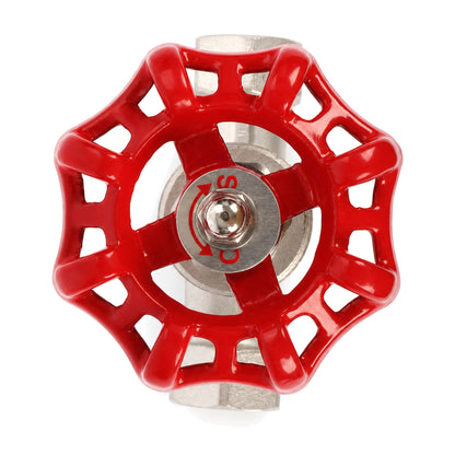 Valvola a globo in acciaio inox da 3/4", regolatore di flusso tipo S per acqua, olio e gas