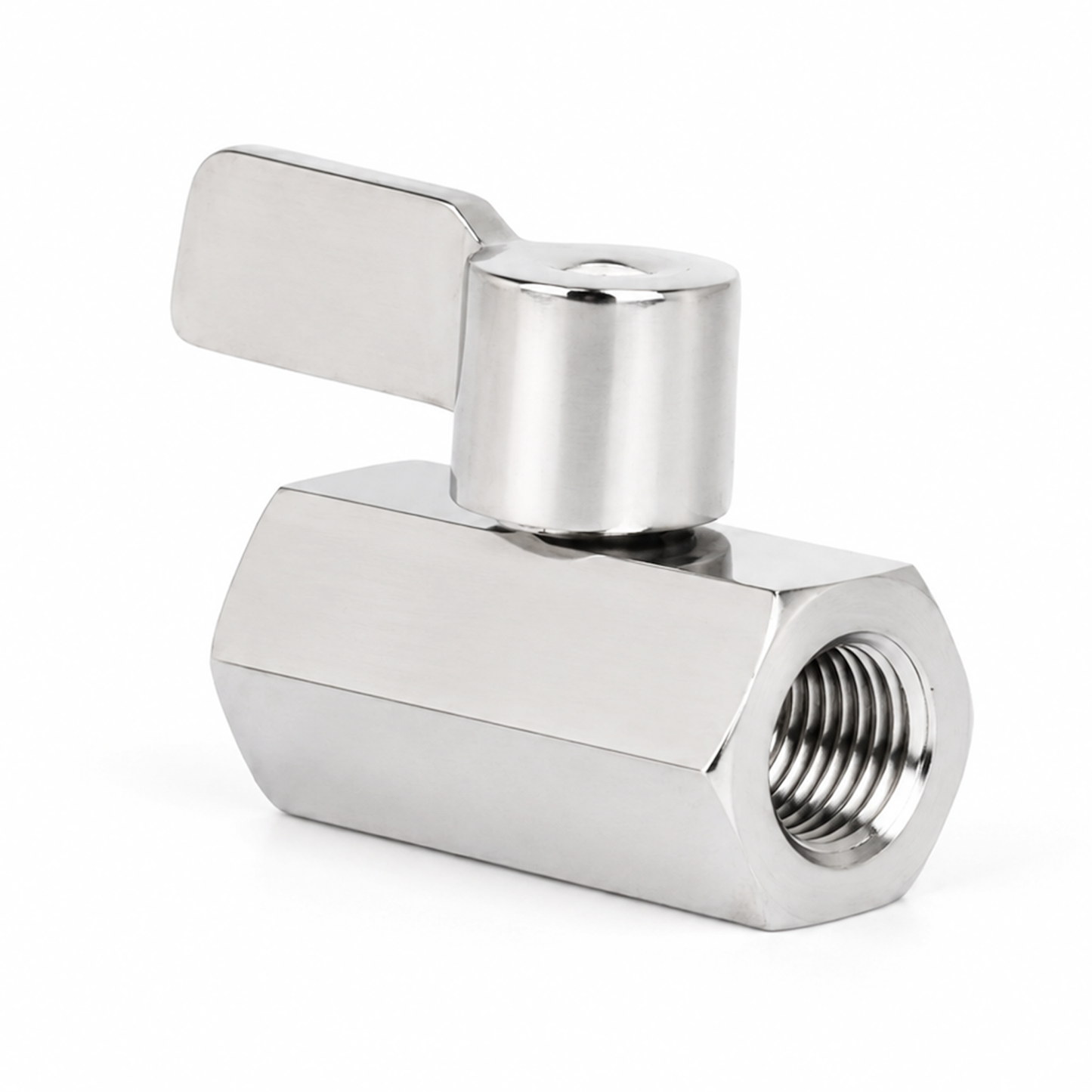 1/4" Mini Ball Valve 304 Stainless Steel Female Thread 2PCS