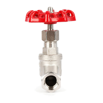 Valvola a globo in acciaio inox da 3/4", regolatore di flusso tipo S per acqua, olio e gas