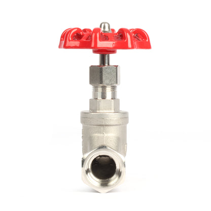 Valvola a globo in acciaio inox da 3/4", regolatore di flusso tipo S per acqua, olio e gas