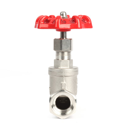 Valvola a globo in acciaio inox da 3/4", regolatore di flusso tipo S per acqua, olio e gas