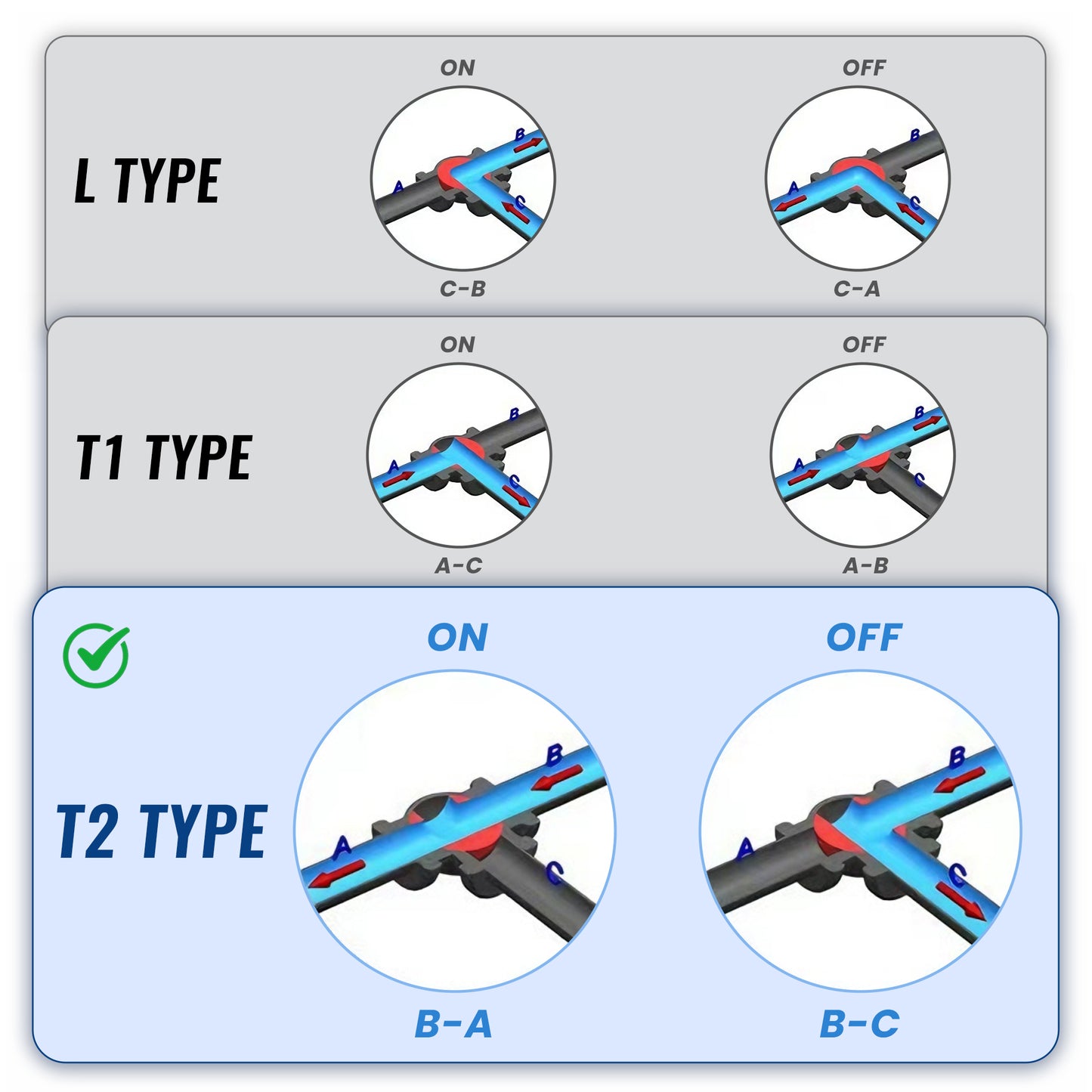 T2