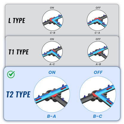 T2