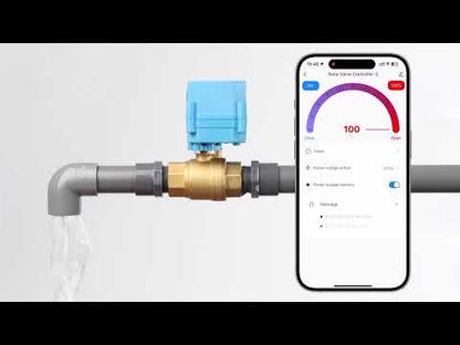 Sfera motorizzata intelligente WiFi da 1/2" in PVC a 2 vie, alimentazione tramite USB, indicatore di stato a LED