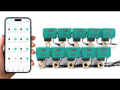 Vanne à bille motorisée intelligente 3/4" – Vanne à bille électrique télécommandée avec interrupteur manuel, 5 V CC USB